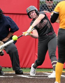 article image - riggle_01